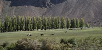 Trekking al Glaciar y Relajo en Baños Termales