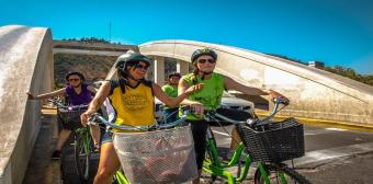 Bicicleta y Vino en el Valle de Casablanca