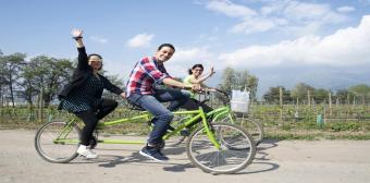Mercados de Santiago